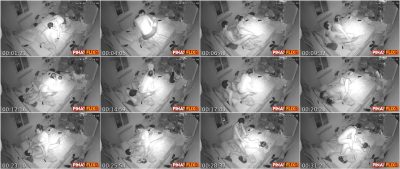 CCTV Diaries