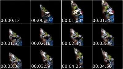 College Spycam